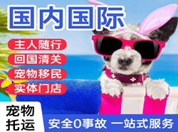忻州航空物流国际宠物托运 【国